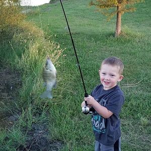 Meet your Posher, Jeff